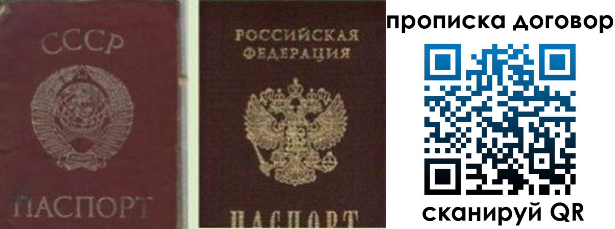 прописка гарантия в Хасавюрте